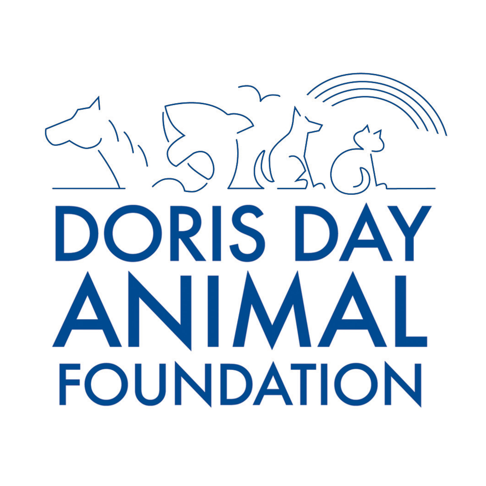 animal foundation