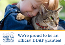 Official DDAF Grantee