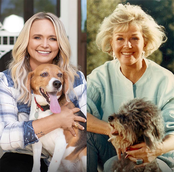 DDAF Begins 3-Year Partnership with Miranda Lambert's MuttNation