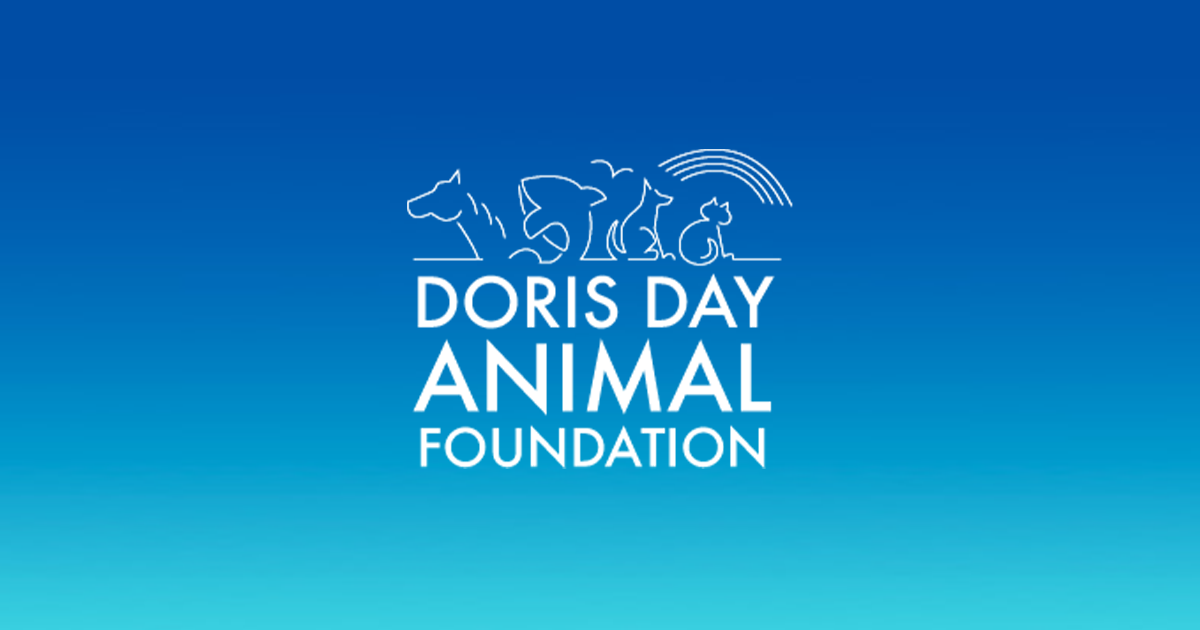 www.dorisdayanimalfoundation.org