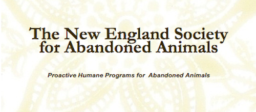 NESAA - New England Society for Abandoned Animals