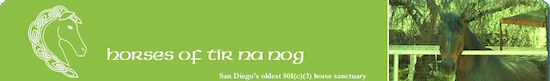 Horses of Tir Na Nog