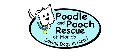 Poodle and Pooch Rescue of Florida