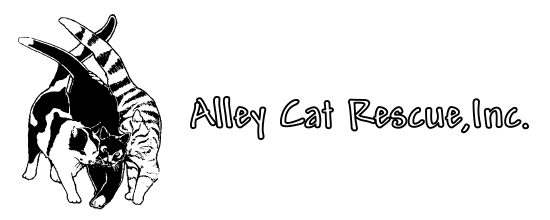 Alley Cat Rescue