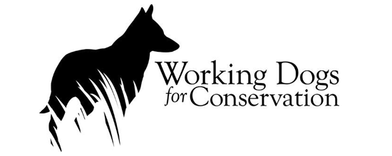 Working Dogs for Conservation